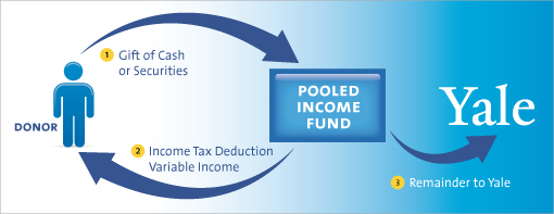 PIF Diagram